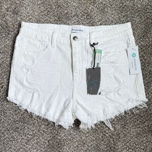 Studio Blue New With Tags White Distressed‎ Jean Shorts Size 31